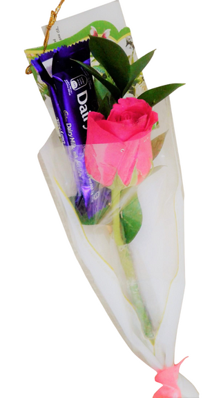 Singe Rose with a pair of Chocolate