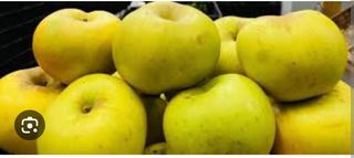 ვაშლი ანტონოვკა 500 გრ