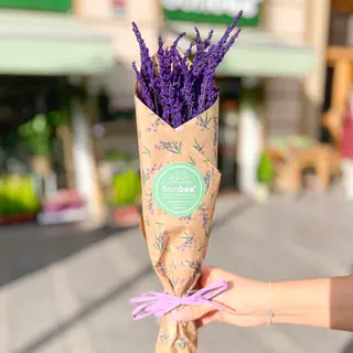 Lavanda