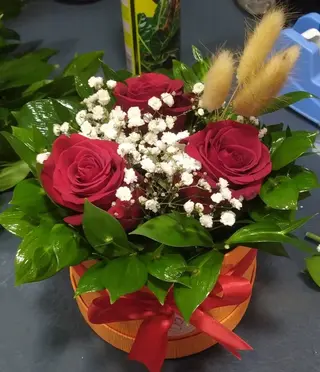Box 1