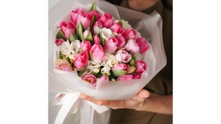 Bukiet z 11 różowych tulipanów i frezji
