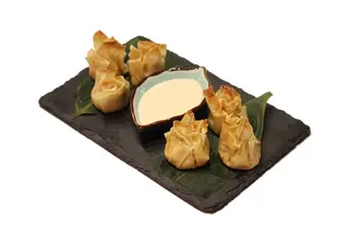 Chicken Dumplings