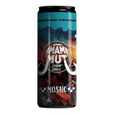 Mammut Mosaic 0.33l