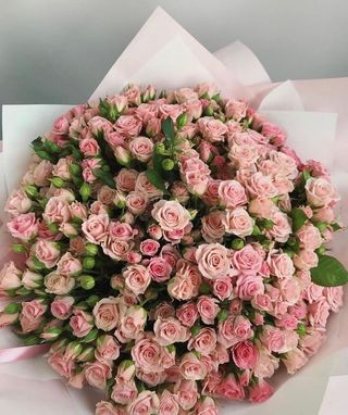 ჯუჯა ვარდები  #2