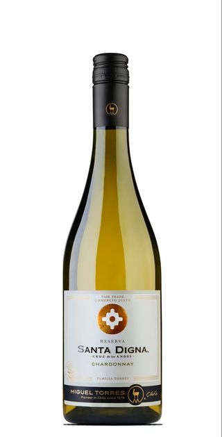 Vino Santa Digna Chile Chardonnay (750 Ml.)
