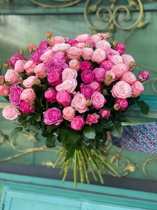 Փնջային վարդեր)021)