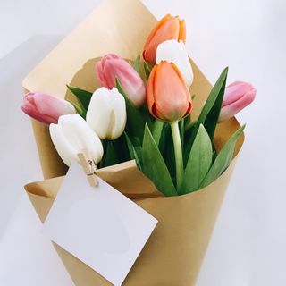 ფერადი ჰოლანდიური ტიტა 10 ცალი