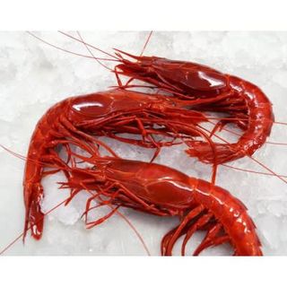 Carabinero Gordo Huelva,  calidad súperior