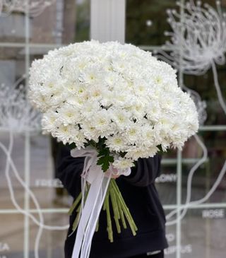 21 белая хризантема