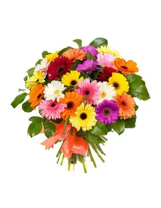 Bouquet di Gerbere