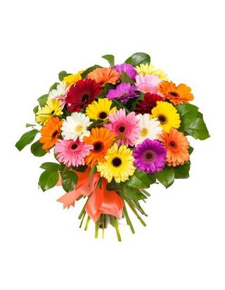 Bouquet di gerbere
