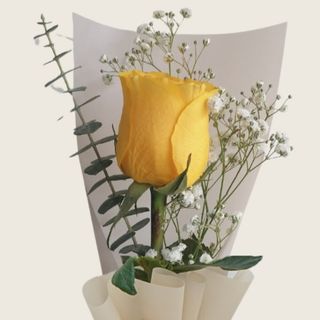 Rosa Amarilla Unidad