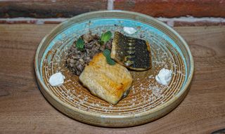 ქართული ზუთხი სოკოთი