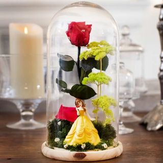 CUPULA BELLA Y BESTIA