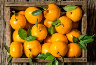 Mandarini 1kg