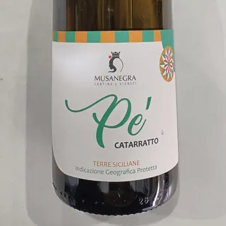 Catarratto