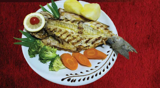 Robalo