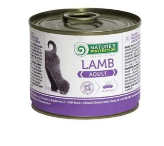Adult lamb