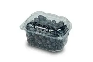 Blueberry 250gr