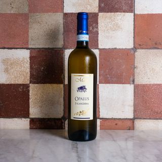 Falanghina - Vigne di Malies