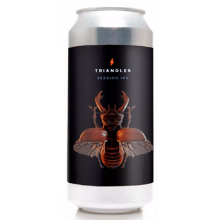 Triangles Garage Beer Co Lata 44 cl.