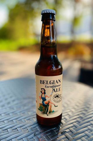 Пиво Belgian Farmhouse Ale (330мл)