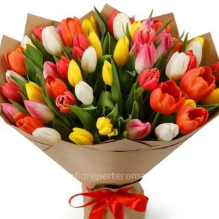 Mixed Tulips 