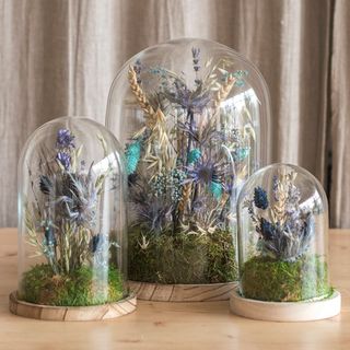 Fanal Flores Preservadas Azul Pequeño