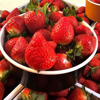 Box di fragole 500 gr circa 