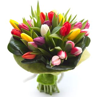 Bouquet tulipani 
