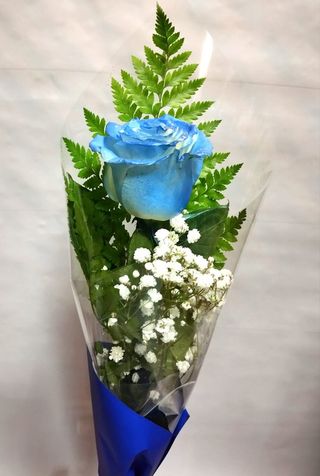 1 Rosa Azul