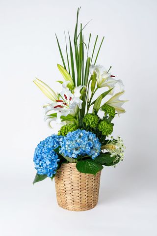Rève Bleu