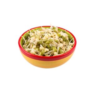 113. Brotes De Sojas Salteadas