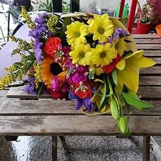 Esplosione di colori