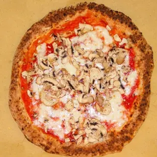 Funghi