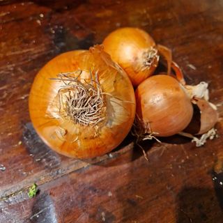 Cipolle gialle 500 g