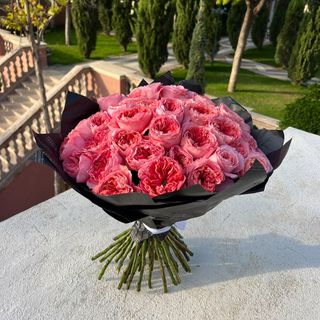 30 rosas peonias