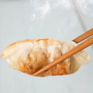 Gyoza Frito