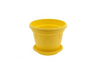 Саксия, жълта, Ф17