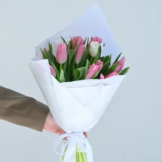 21 ვარდისფერი ტიტა