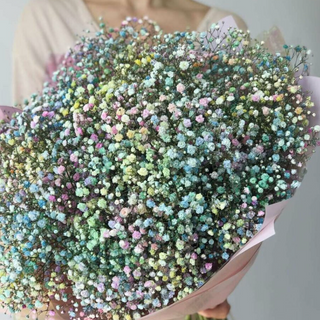 Bukiet kolorowej gipsówki XL 