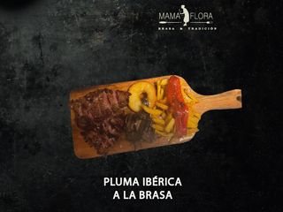 Pluma Ibérica