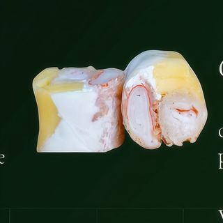 Aromaki gambas exotique-6 pièces