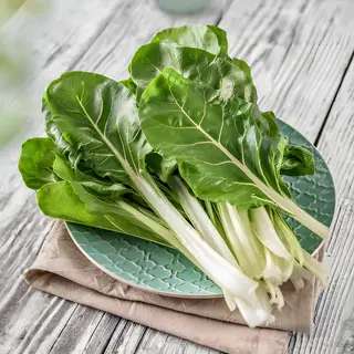 Blitva
