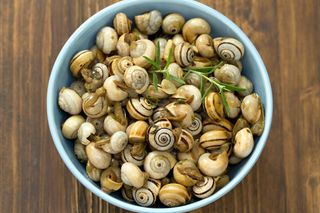 Caracóis, Pão Torrado e Manteiga