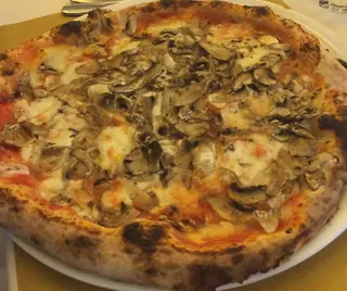 Funghi