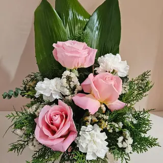Beleza Pastel