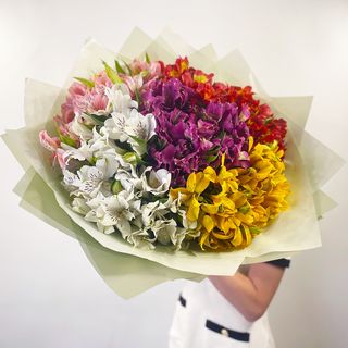 ალსტრომერიის ნაზავი 3066