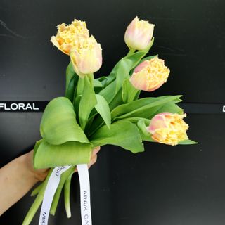 Ramo de 5 Tuipanes 