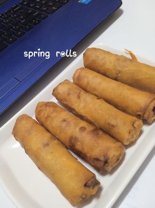 Spring Roll 春卷